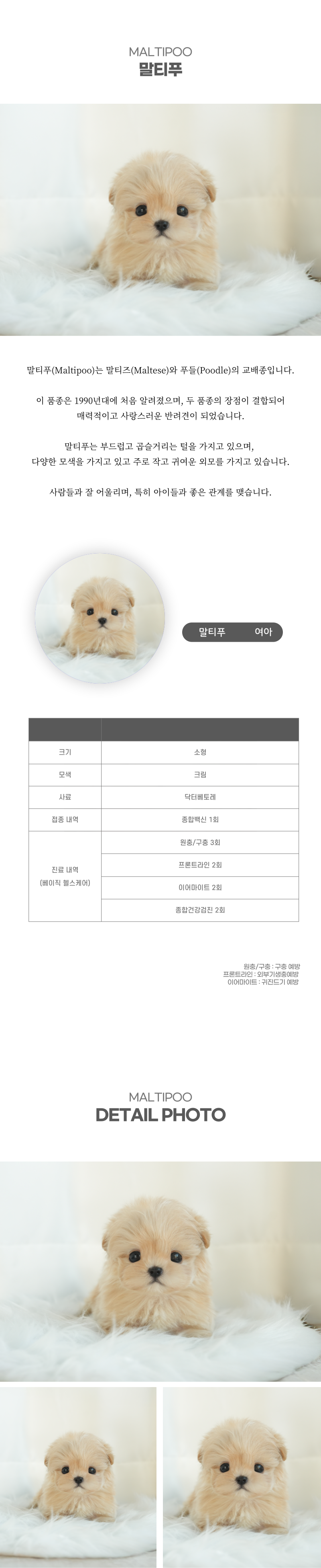 말티푸_상세이미지_2